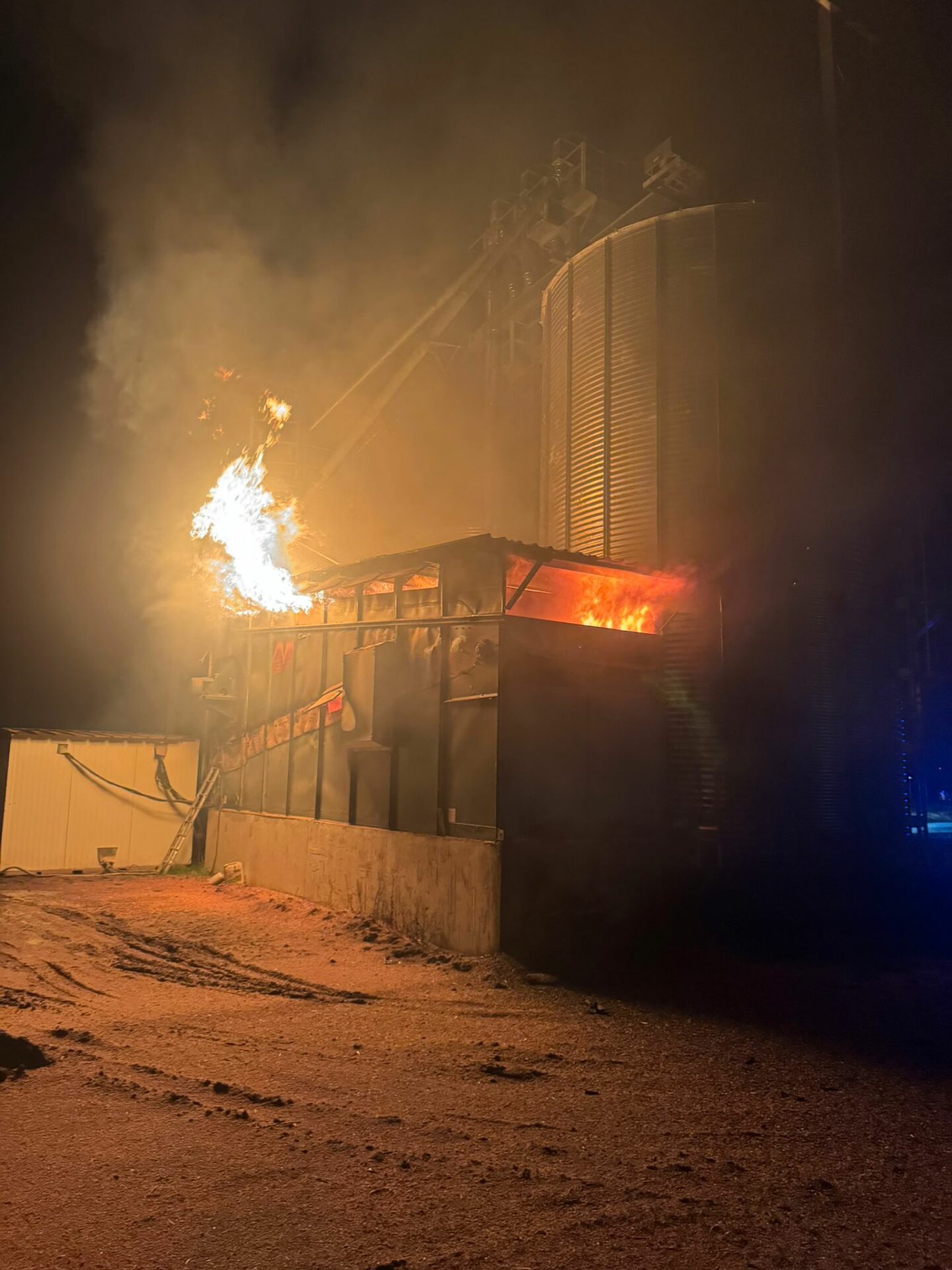 WhatsApp Image 2025-11-05 at 20.25.41