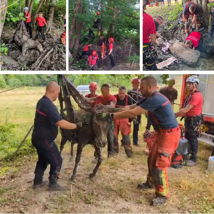 Sapeurs Pompiers de l'AUBE - SDIS 10